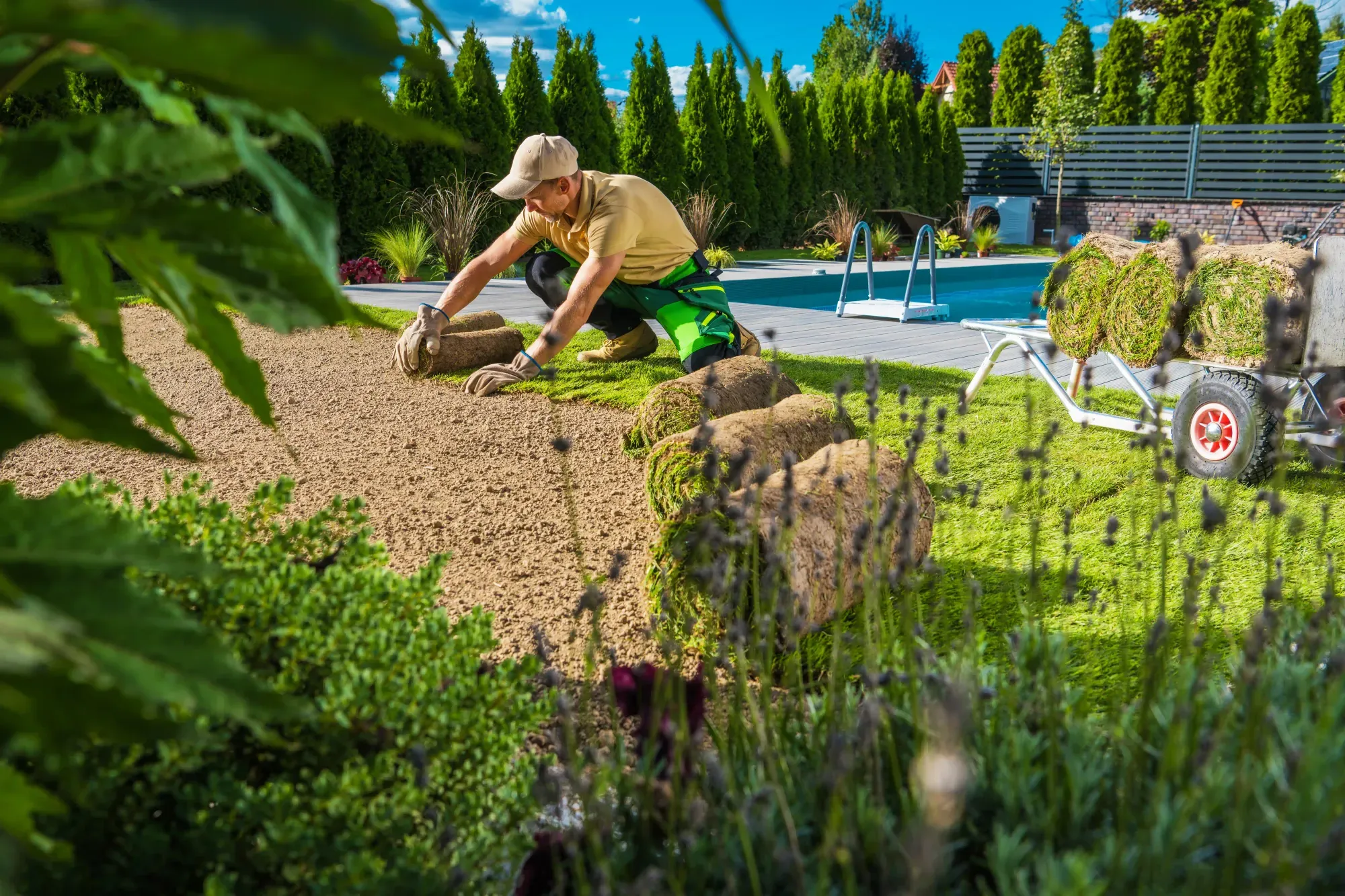 Landscape care